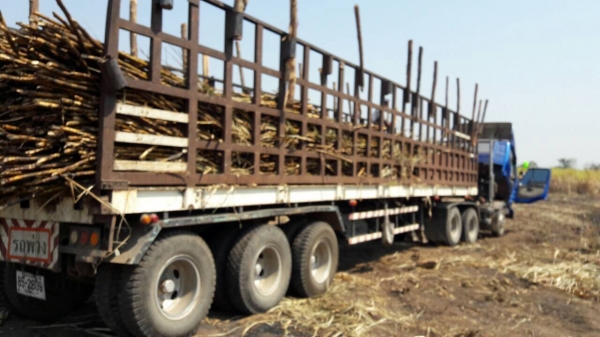 ขาย หัวลาก NISSAN UD เครื่อง PE6-T 290 แรงม้า พร้อมหาง 3 คาน ยาว 12 เมตร เล่มทะเบียนครบพร้อมโอน