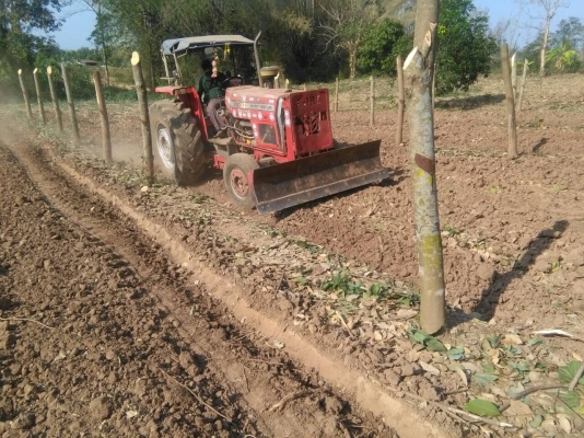 รถไถ แมสซี่ 390