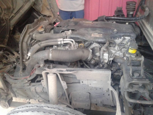 ขาย 6 ล้อ อีซูซุ  ตู้เปียก NMR 130 130  แรง สนใจติดต่อ 081-9420141  ,  081-5715326