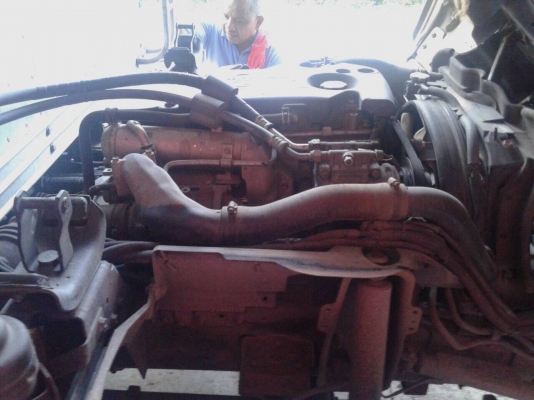 ขาย 6 ล้อ อีซูซุ  ตู้เปียก NMR 130 130  แรง สนใจติดต่อ 081-9420141  ,  081-5715326