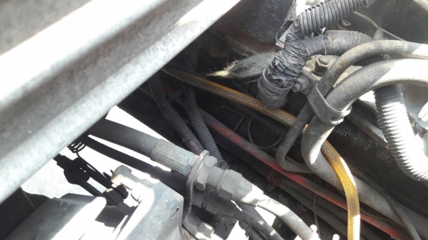 รถฮีโน่ 10 ล้อ ตู้เย็น FL3H  195 แรงม้า. ปี 36.    สนใจติดต่อ  081 - 6079515