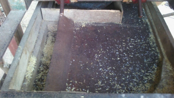 ปิดการขายขอบคุณเฮียจากบ้านโป่ง ราชบุรีมากครับ ขายโรงสีข้าวโชคประธาน หิน 18 อุปกรณ์ครบพร้อมสี พร้อมใช้งาน ไม่มีผุ ปิดการขายขอบคุณเฮียจากบ้านโป่ง ราชบุรีมากครับ ขายโรงสีข้าวโชคประธาน หิน 18 อุปกรณ์ครบพร้อมสี พร้อมใช้งาน ไม่มีผุ