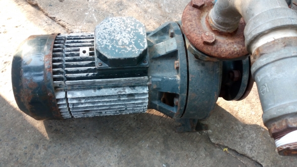 ขาย !! ปั้มน้ำหอยโข่ง Lowaraของ อิตาลี่ ขนาด7.5แรง380v. พร้อมมใช้