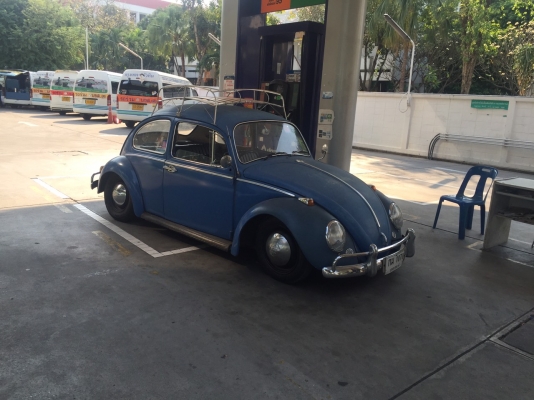 ขาย volk เต่า ปี65