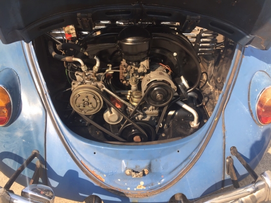 ขาย volk เต่า ปี65