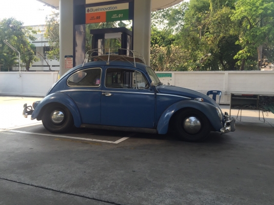 ขาย volk เต่า ปี65