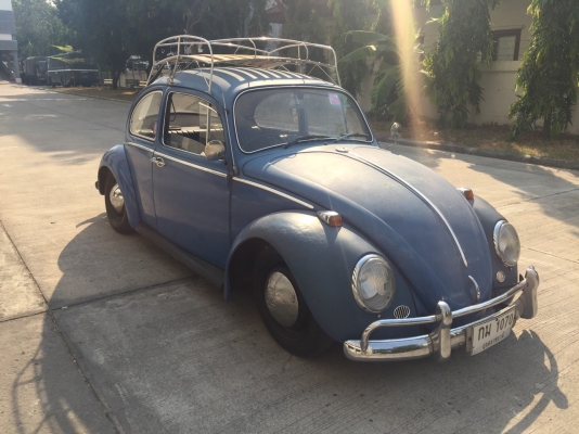 ขาย volk เต่า ปี65