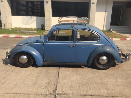 ขาย volk เต่า ปี65