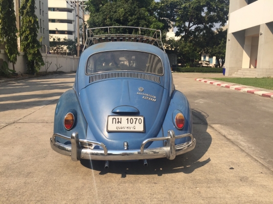 ขาย volk เต่า ปี65