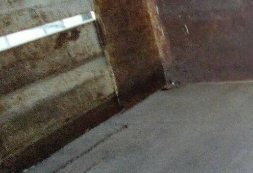 **380,000 บ.ต่อรอง/// 6ล้อดั้มดิน/ดั้มเกษตร HINO FC-117แรง รถห้างแท้ เครื่อง/เกียร์ เดิม ช่วงล่างใหญ่ มีสโลว พ.พาวเวอร์ กระบะดั้ม4.0ม.ยาง8.25/16 พร้อมใช้งาน เล่มครบ **ขาย HINO FC-117 6ล้อดั้มดิน/ดั้มเกษตร ช่วงล่างใหญ่ รถห้างแท้ สภาพพร้อมใช้ งาน HINO FC112 **380,000 บ.ต่อรอง/// 6ล้อดั้มดิน/ดั้มเกษตร HINO FC-117แรง รถห้างแท้ เครื่อง/เกียร์ เดิม ช่วงล่างใหญ่ มีสโลว พ.พาวเวอร์ กระบะดั้ม4.0ม.ยาง8.25/16 พร้อมใช้งาน เล่มครบ **ขาย HINO FC-117 6ล้อดั้มดิน/ดั้มเกษตร ช่วงล่างใหญ่ รถห้างแท้ สภาพพร้อมใช้ งาน HINO FC112