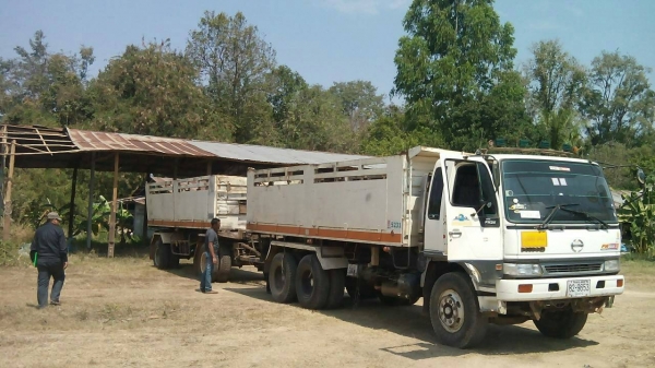 ขายด่วนHINO FM3MNLD 240แรงสองเพลาดั้ม แม่ลูกๆ2เพลา ราคาเบาๆ จัดแนนท์ได้โทร0856842587