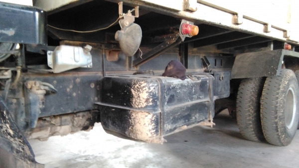 มาแล้วครับนางฟ้า2เพลาด้้มสวยมากรับประกันคืนเงิน2เท่า มาแล้วครับนางฟ้า2เพลาด้้มสวยมากรับประกันคืนเงิน2เท่า