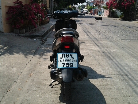 ขายมอไซค์ ปี50 ฮอนด้า คลิ๊ก รุ่นTune Up เครื่อง110cc. เครื่องดีนิ่มๆ รถสภาพยังโอเค ภาษีขาด2ปี เล่มทะเบียนครบ ขายถูกๆครับ ขายมอไซค์ ปี50 ฮอนด้า คลิ๊ก รุ่นTune Up เครื่อง110cc. เครื่องดีนิ่มๆ รถสภาพยังโอเค ภาษีขาด2ปี เล่มทะเบียนครบ ขายถูกๆครับ