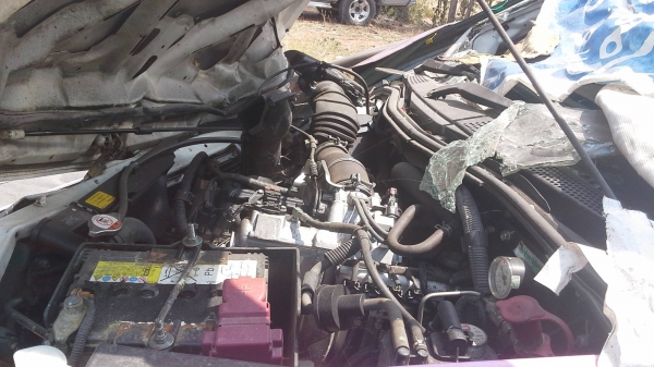 ซากไทรทันปี 14 ทะเบียนพร้อมโอน ซากไทรทันปี 14 ทะเบียนพร้อมโอน