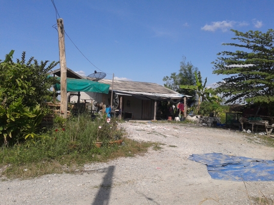 ขายที่ดินหรือให้เช่า เดือนละ 1,500 ต.หนองอิรุณ อ.บ้านบึง จ.ชลบุรี