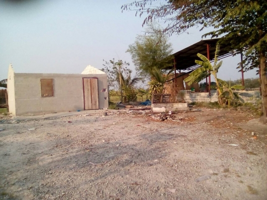 ขายที่ดินหรือให้เช่า เดือนละ 1,500 ต.หนองอิรุณ อ.บ้านบึง จ.ชลบุรี