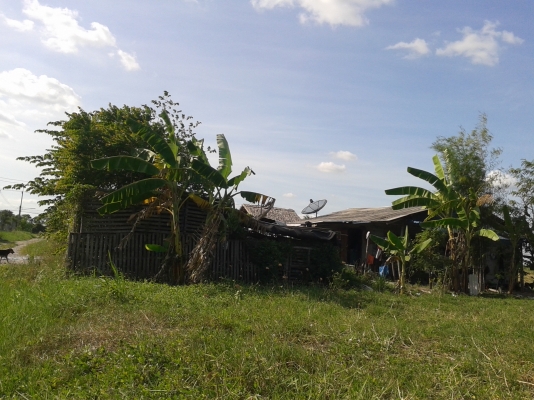 ขายที่ดินหรือให้เช่า เดือนละ 1,500 ต.หนองอิรุณ อ.บ้านบึง จ.ชลบุรี