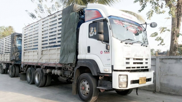 ขายอีซูซุ360+ลูก3เพลาไม่ดั๊มคอกเกษตร