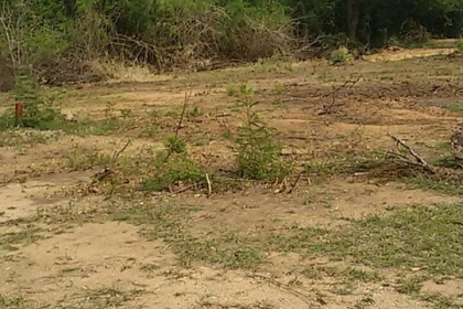 ขายที่ดินที่ตัวอำเภอ ตาพระยา จ.สระแก้ว