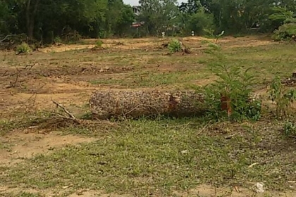 ขายที่ดินที่ตัวอำเภอ ตาพระยา จ.สระแก้ว