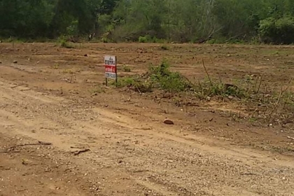 ขายที่ดินที่ตัวอำเภอ ตาพระยา จ.สระแก้ว