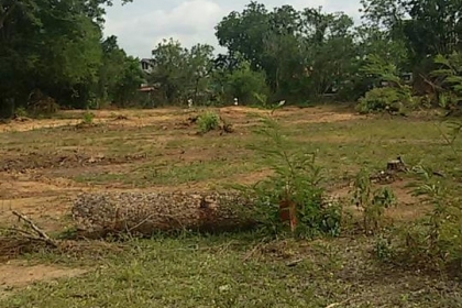 ขายที่ดินที่ตัวอำเภอ ตาพระยา จ.สระแก้ว