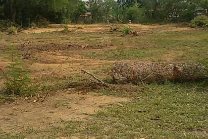 ขายที่ดินที่ตัวอำเภอ ตาพระยา จ.สระแก้ว