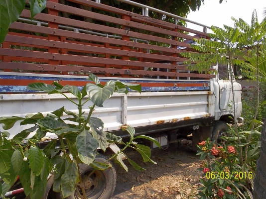 ขาย HINO KM 500  เอกสารทะเบียนพร้อมโอน