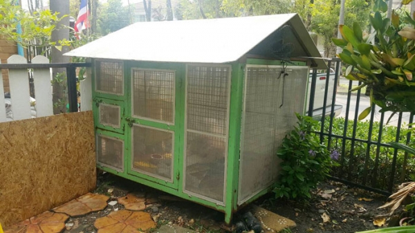 กรงสุนัข สำหรับหมาตัวใหญ่