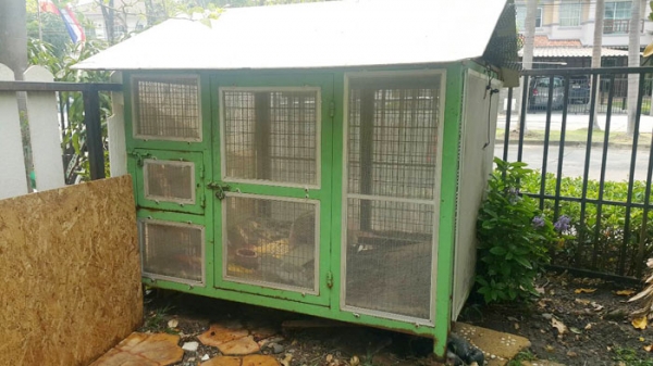 กรงสุนัข สำหรับหมาตัวใหญ่