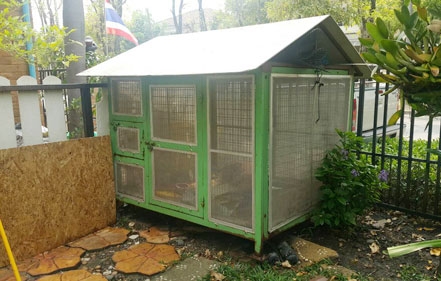 กรงสุนัข สำหรับหมาตัวใหญ่