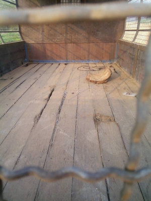 สีล้อ อีซูชุ NKR120ปี50 ป้ายเล็กไม่ติดเวลา ช่วงยาว3.20ม สภาพดีสวยพร้อมใช้งาน วิ่งได้ 24ซม.ไม่มีติดเวลา เล่มทะเบียนพร้อมโอน สีล้อ อีซูชุ NKR120ปี50 ป้ายเล็กไม่ติดเวลา ช่วงยาว3.20ม สภาพดีสวยพร้อมใช้งาน วิ่งได้ 24ซม.ไม่มีติดเวลา เล่มทะเบียนพร้อมโอน