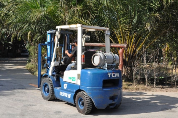 ขายFORKLIFT TCM FG25(2.5ตัน) เสา3เมตร สวยเดิมจากญี่ปุ่น ยังไม่เคยใช้ในไทย 155,000เท่านั้น!!