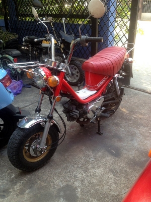 ***** ขาย Chaly กับ Chappy มีทะเบียน *****