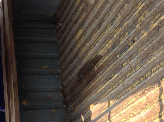 โตโยต้าม้ากระโดด โตโยต้าม้ากระโดด