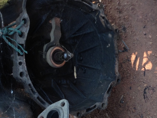 โตโยต้าม้ากระโดด โตโยต้าม้ากระโดด