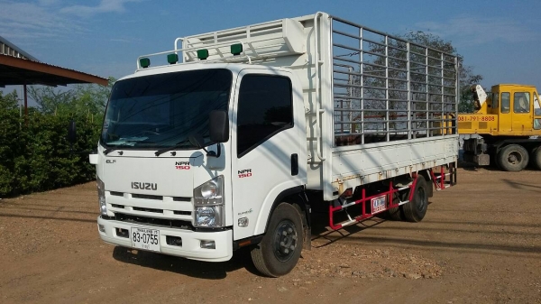 ขายสด-ผ่อน รถ6ล้อ กระบะบรรทุก ISUZU/NPR/150แรงม้า วิ่งน้อย21,766กม. ยาว5เมตร ปี57