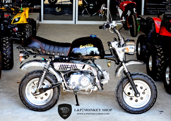 #จัดโปโมชั่นใหม่ลดราคาสุดๆ.รถต้นแบบ MSX มังกี้ กอลิล่า แต่ง มี100 แบบให้เลือก ราคาเริ่มต้น.......