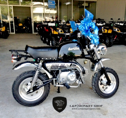 จัดโปรโมชั่น ลดราคาสุดแบบ มโหฬษร มังกี้ กอลิล่า เดิม ราคาสุดๆ เริ่มต้นเพียง 2XXXX  แต่งๆๆ ลดราคาทุกรุ่นและมีของแถมอีกมากมาย  ด่วนๆๆ ลดๆๆ   เริ่มต้นราคา ที