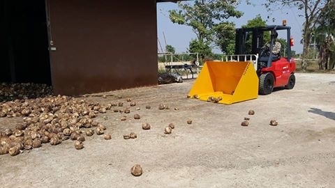 แหล่งรวมรถโฟลค์ลิฟท์งาเทฮิงร์ฟอร์คภาคตะวันออกรถงาเทกระดกเทได้สำหรับตักก้อนยางพาราตักขี้ยางและยางถ้วย