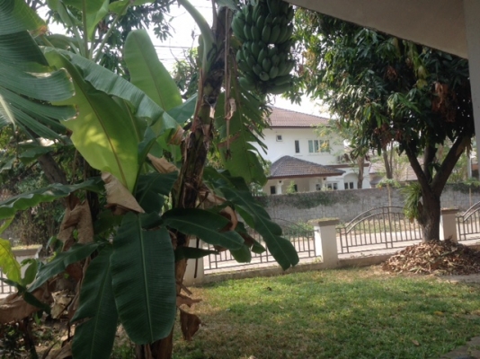 ขายบ้านลานนาชั้นเดียว57ต.ร.วติดถนนคันคลองเขตอ.เมืองแม่เหียะ