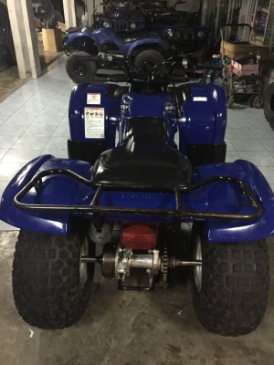 ขาย ATV Grizzly 125 cc. มือสอง