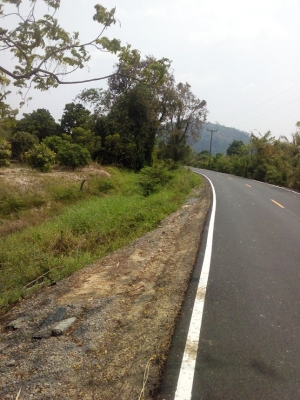 ขายที่ดิน 6 ไร่เศษ ราคาไร่ละ 500000 บาท บ้านนา นครนายก