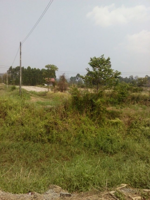 แบ่งขายที่ดิน 2 ไร่ ราคาไร่ละ 500000 บาท บ้านนา นครนายก