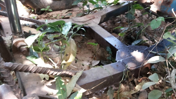 **400,000 บ.ต่อรอง/// รถไถ FORD 6610 เสื้อลาย ตัวเต็ม เพลาเดียว เครื่อง/เกียร์/ปั้ม เดิม แน่น แรงดี ยางดี4เส้น พร้อมดันหน้า+ผาน3และผาน4 SPT สงวนพงษ์ฯ บอดี้ครบ สีสันเดิมบาง เครื่องฟิตใหม่ไม่นาน รถจอดสัญญาซื้อขาย ขายตามสภาพ **ขาย FORD 6610 รถไถ1เพลา เสื้อลา **400,000 บ.ต่อรอง/// รถไถ FORD 6610 เสื้อลาย ตัวเต็ม เพลาเดียว เครื่อง/เกียร์/ปั้ม เดิม แน่น แรงดี ยางดี4เส้น พร้อมดันหน้า+ผาน3และผาน4 SPT สงวนพงษ์ฯ บอดี้ครบ สีสันเดิมบาง เครื่องฟิตใหม่ไม่นาน รถจอดสัญญาซื้อขาย ขายตามสภาพ **ขาย FORD 6610 รถไถ1เพลา เสื้อลา