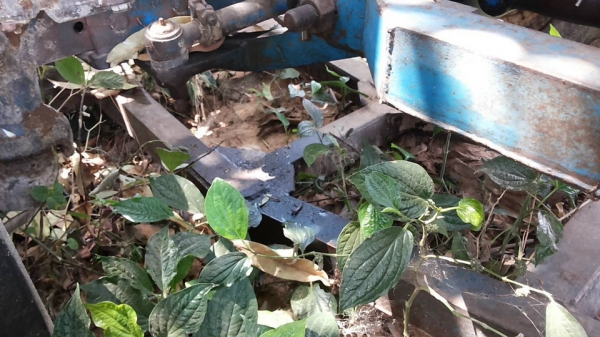 **400,000 บ.ต่อรอง/// รถไถ FORD 6610 เสื้อลาย ตัวเต็ม เพลาเดียว เครื่อง/เกียร์/ปั้ม เดิม แน่น แรงดี ยางดี4เส้น พร้อมดันหน้า+ผาน3และผาน4 SPT สงวนพงษ์ฯ บอดี้ครบ สีสันเดิมบาง เครื่องฟิตใหม่ไม่นาน รถจอดสัญญาซื้อขาย ขายตามสภาพ **ขาย FORD 6610 รถไถ1เพลา เสื้อลา **400,000 บ.ต่อรอง/// รถไถ FORD 6610 เสื้อลาย ตัวเต็ม เพลาเดียว เครื่อง/เกียร์/ปั้ม เดิม แน่น แรงดี ยางดี4เส้น พร้อมดันหน้า+ผาน3และผาน4 SPT สงวนพงษ์ฯ บอดี้ครบ สีสันเดิมบาง เครื่องฟิตใหม่ไม่นาน รถจอดสัญญาซื้อขาย ขายตามสภาพ **ขาย FORD 6610 รถไถ1เพลา เสื้อลา