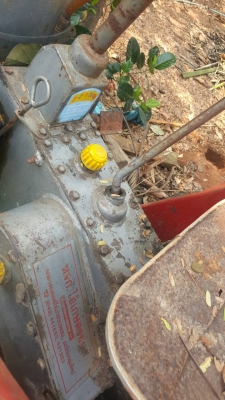 นั้งขับเกียไฮดียกเครื่องไสทำงานทันที นั้งขับเกียไฮดียกเครื่องไสทำงานทันที