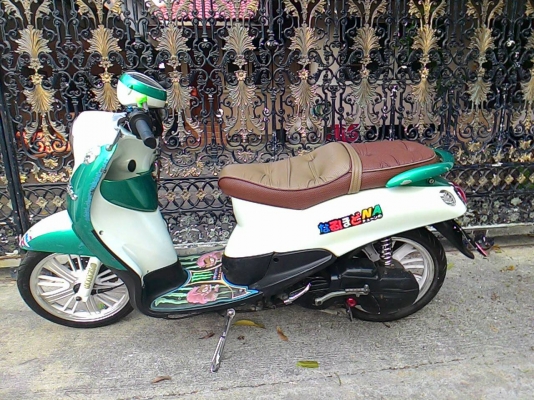 ฟีโน่ ปี 52 ทะเบียนไม่ขาด