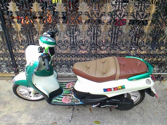 ฟีโน่ ปี 52 ทะเบียนไม่ขาด