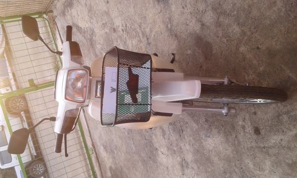 ขายดรีม 100 ราคา 14,500 บาท ขี่ได้ เครื่องติด